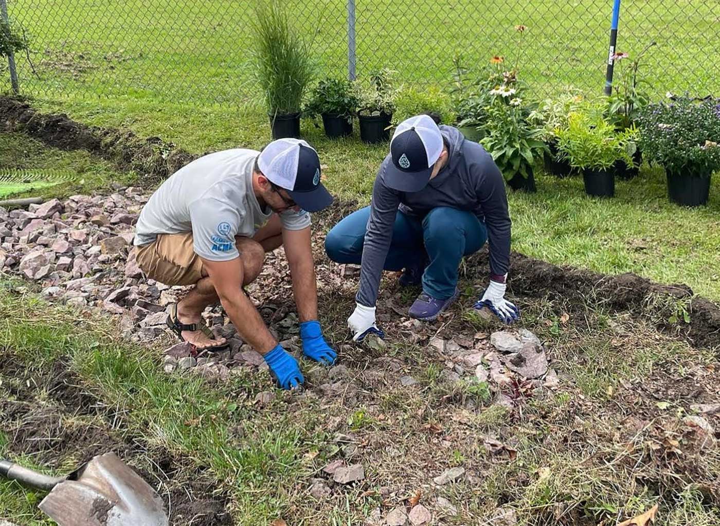 adopt a rain garden