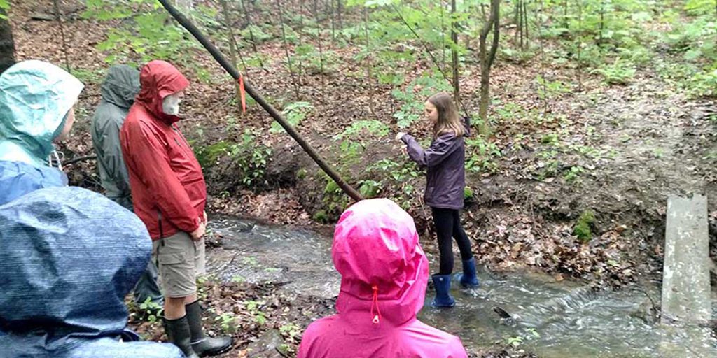stream monitoring